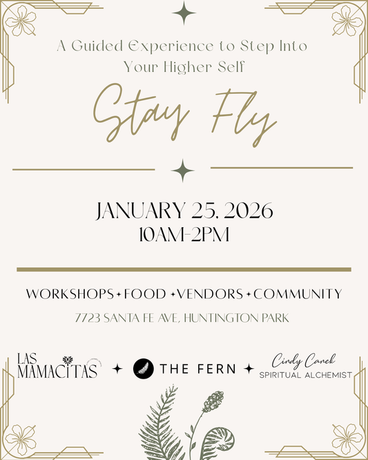 Stay FLY: Rooted in Intention & Clarity
